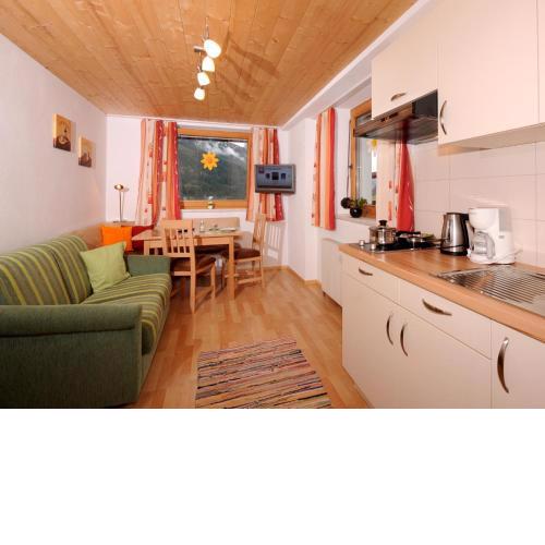 Single Apartment Martlerhof