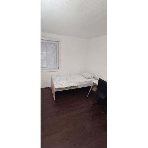 Single room in student apartment