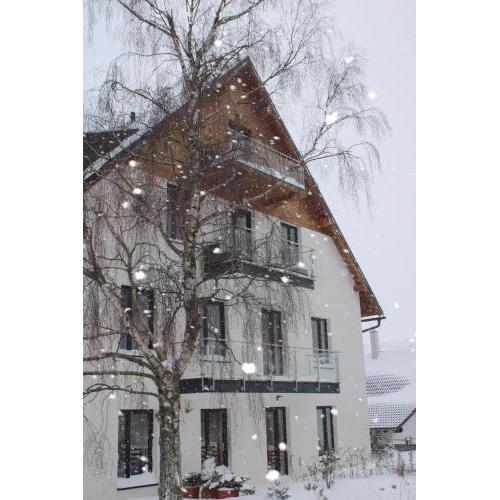 SKI Apartmán Snowcat