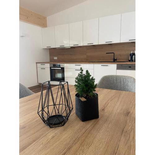 Ski & Bike Appartements