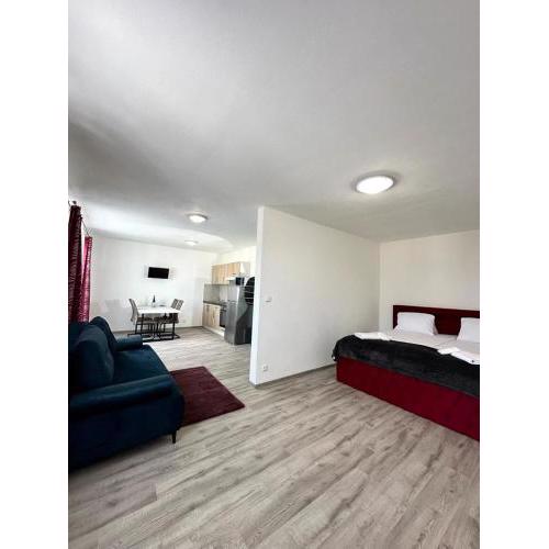 Sky Apartments 501