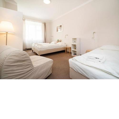 Sleeps 6 flat by tram Zizkov