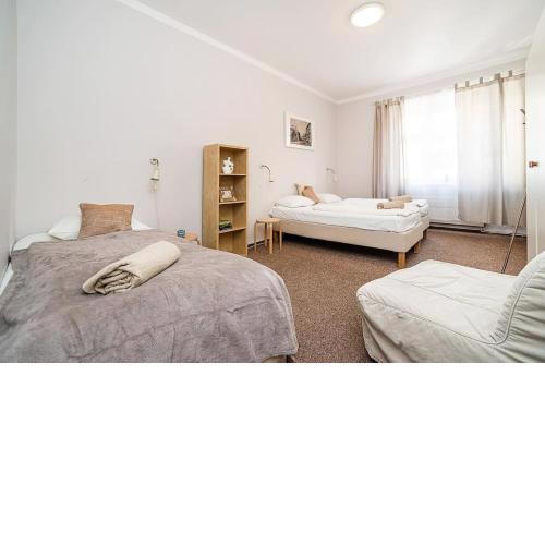 Sleeps 7 flat by tram Zizkov