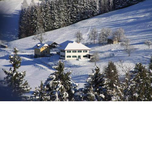 Sommerholz