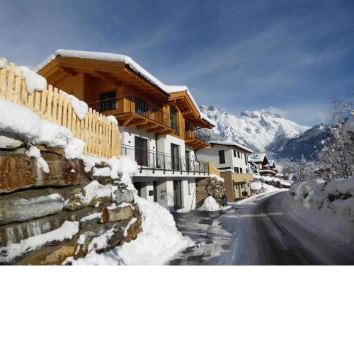 SonnenChalet Werfenweng
