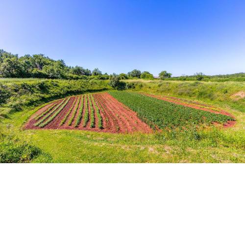 Sonniges Ferienhaus inmitten grüner Natur