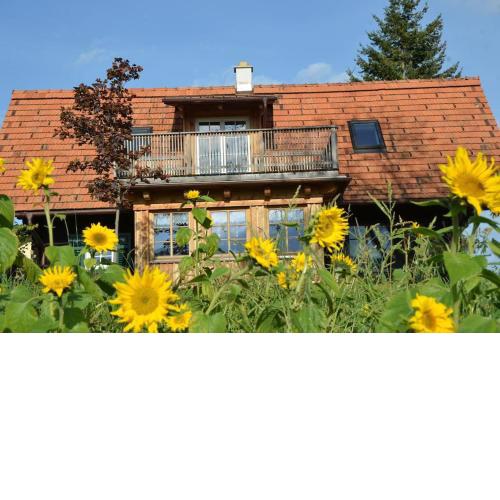 Sonniges Kellerstöckel im Schilcherland