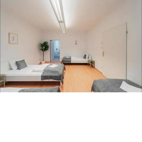 Souterrain Apartment