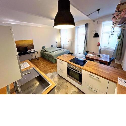 Spacious 2 Bedroom Loft with courtyard - city centre