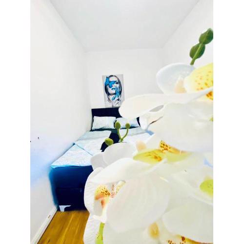Spacious 4BR Apt, Up to 15P 15Min to Danube River