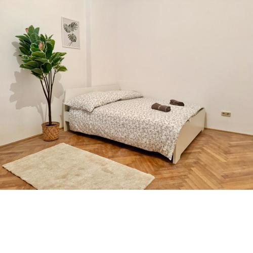 Spacious Apartment - 15 min to Center