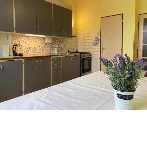 Spacious apartment - free parking!
