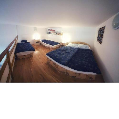 Spacious Apartment - Svoboda nad Úpou