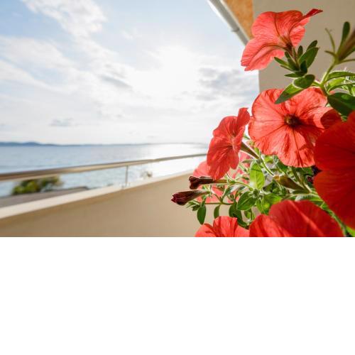 Spacious apartment near the Sea