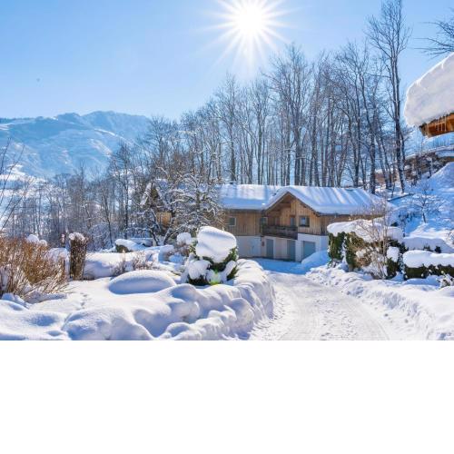 Spacious apartment near the ski area