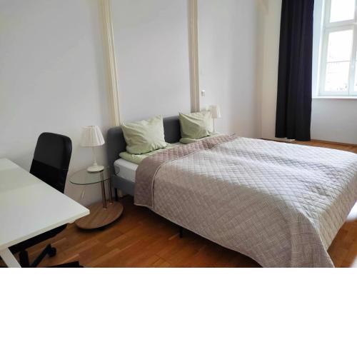 Spacious Austrian Style Apartment close to City Center Landstraße