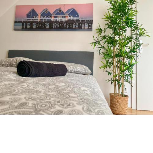 Spacious Central Rooftop with Free Parking