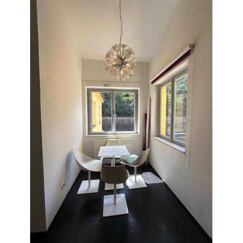 Spacious Karlin Lofty Apartment
