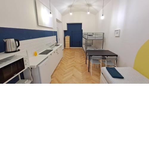 Spacious, Light Studio Apartment in Vinohrady