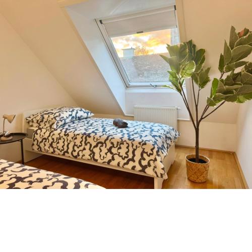 Spacious Rooftop Apartment with Balcony - Free Parking