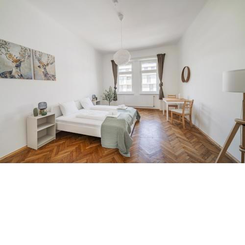 spacious studio in vienna