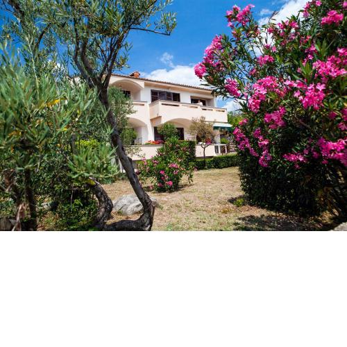 Speranza apartment 2