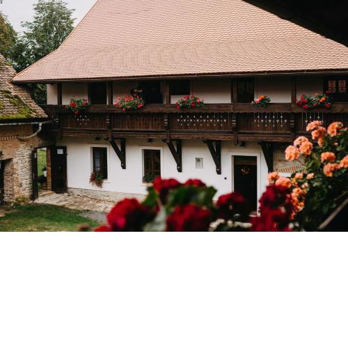 Statek Poštolka