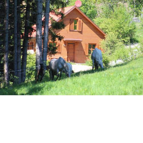 Sternen-Chalet