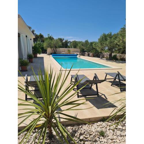 Stone Villa Olea - Holiday house in olive grove