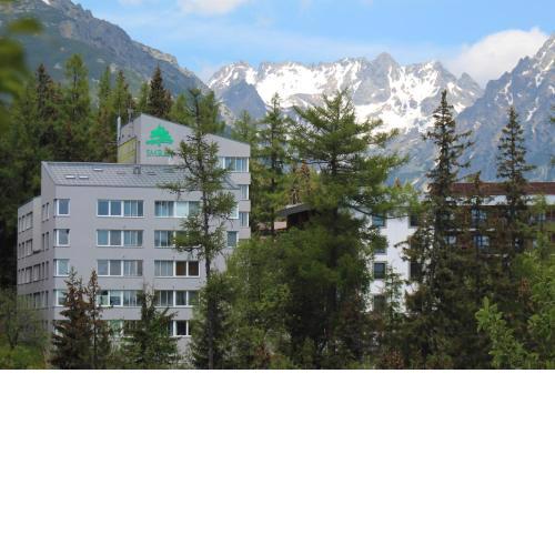 Strbske Pleso Smrek Penthouse Apartment