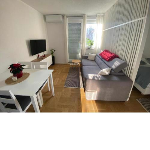 Studio Apartman Ana