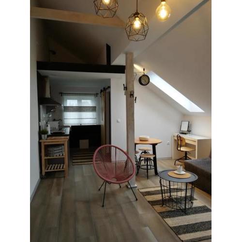 Studio apartman HANA