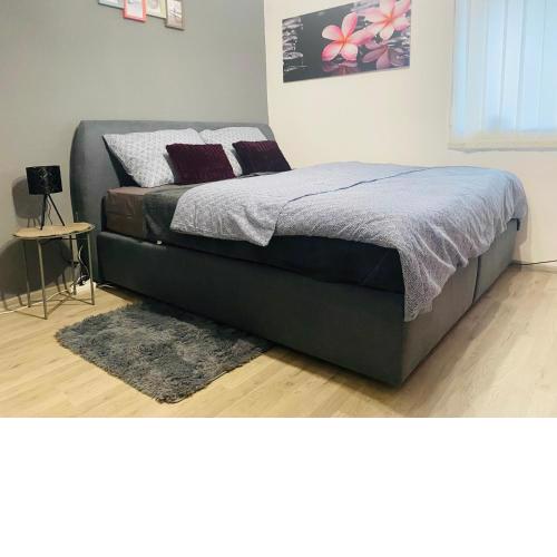 Studio Apartman Jovičić