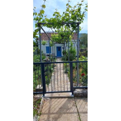 Studio apartman ROZA