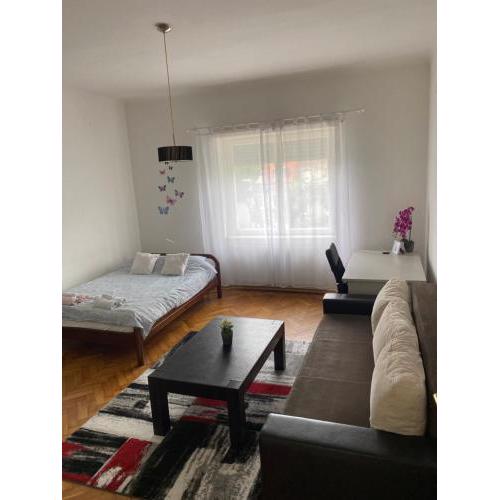 Studio Apartman Thalia