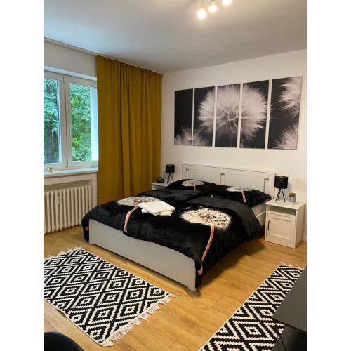 Studio Apartment Dandelion