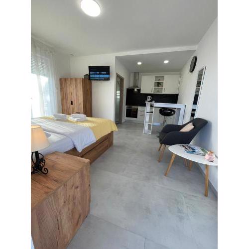 Studio Apartment Iva with Balcony