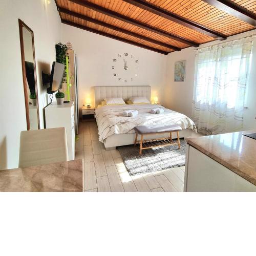 Studio Apartment Lino