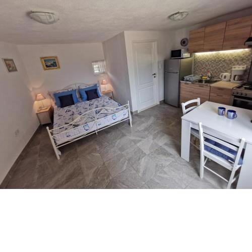 Studio Apartment Mileta