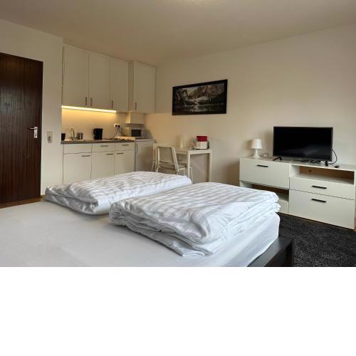 Studio Apartment near Linz Main Train Station