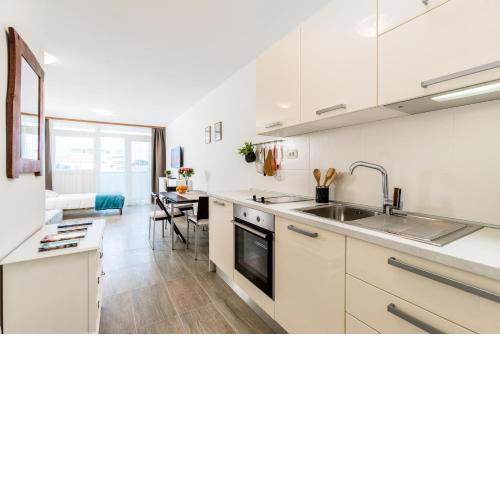 Studio Apartment Romana