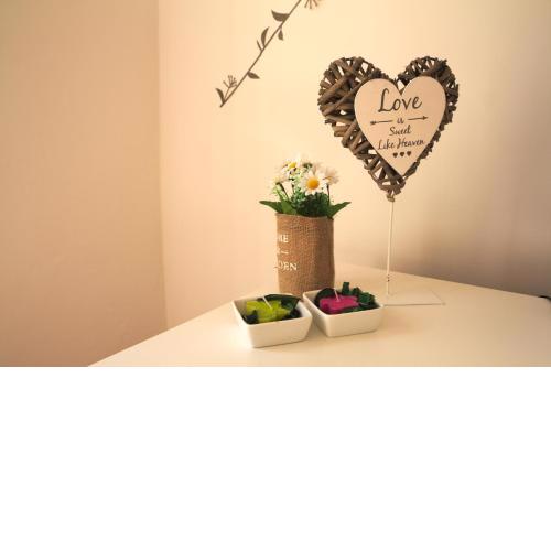 Studio Apartment Slavi