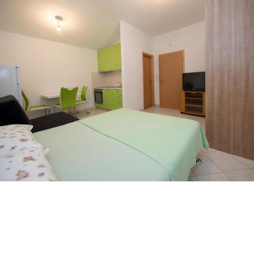 Studio Apartment Tesija
