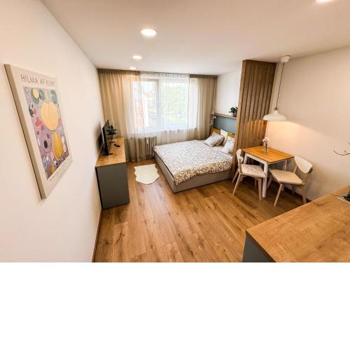 Studio Apartment Trenčín