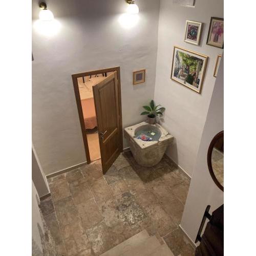 studio apartment vicelic