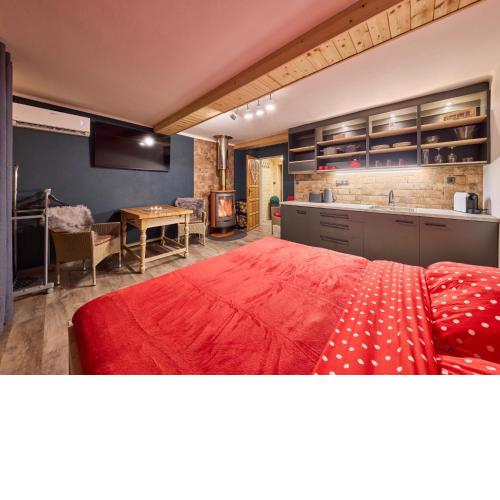 Studio Lesní plovárna by Interhome