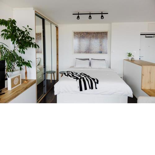 Studio Penthouse