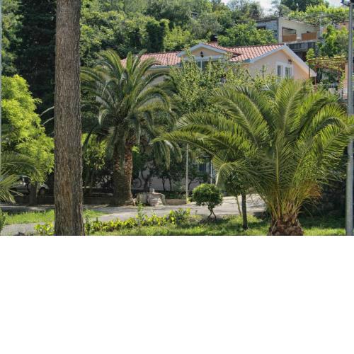 Studio Trpanj 257c