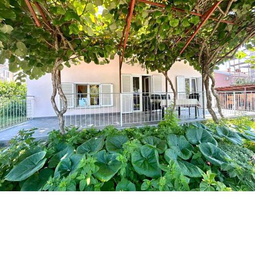Studio Ugrin with Terrace