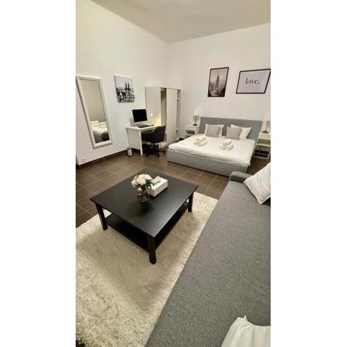 stunning apartment in Prague 3